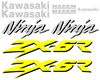 Kawasaki ZX-6R Full Decal Set 2001 Style A