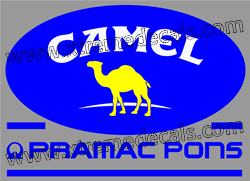 CAMEL - PRAMAC PONS Decal