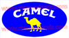 3 Colour Camel Decal