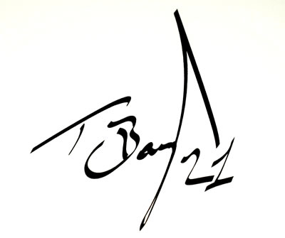 One Troy Bayliss Autograph Decal