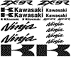 Kawasaki ZX-9R Ninja 18 Decal Set    