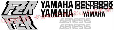 Yamaha FZR 600 1990 Model Decal Set