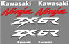 Kawasaki ZX-6R Ninja Decal Set 1999 Style
