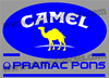 CAMEL - PRAMAC PONS Decal