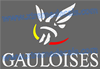 GAULOISES logo decal 3 colour