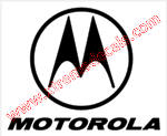 MOTOROLA Decal