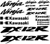 Kawasaki ZX-12R 16 Decal Set